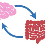 ANSIA E DISTURBI GASTROINTESTINALI: CONNESSIONI TRA CERVELLO E INTESTINO